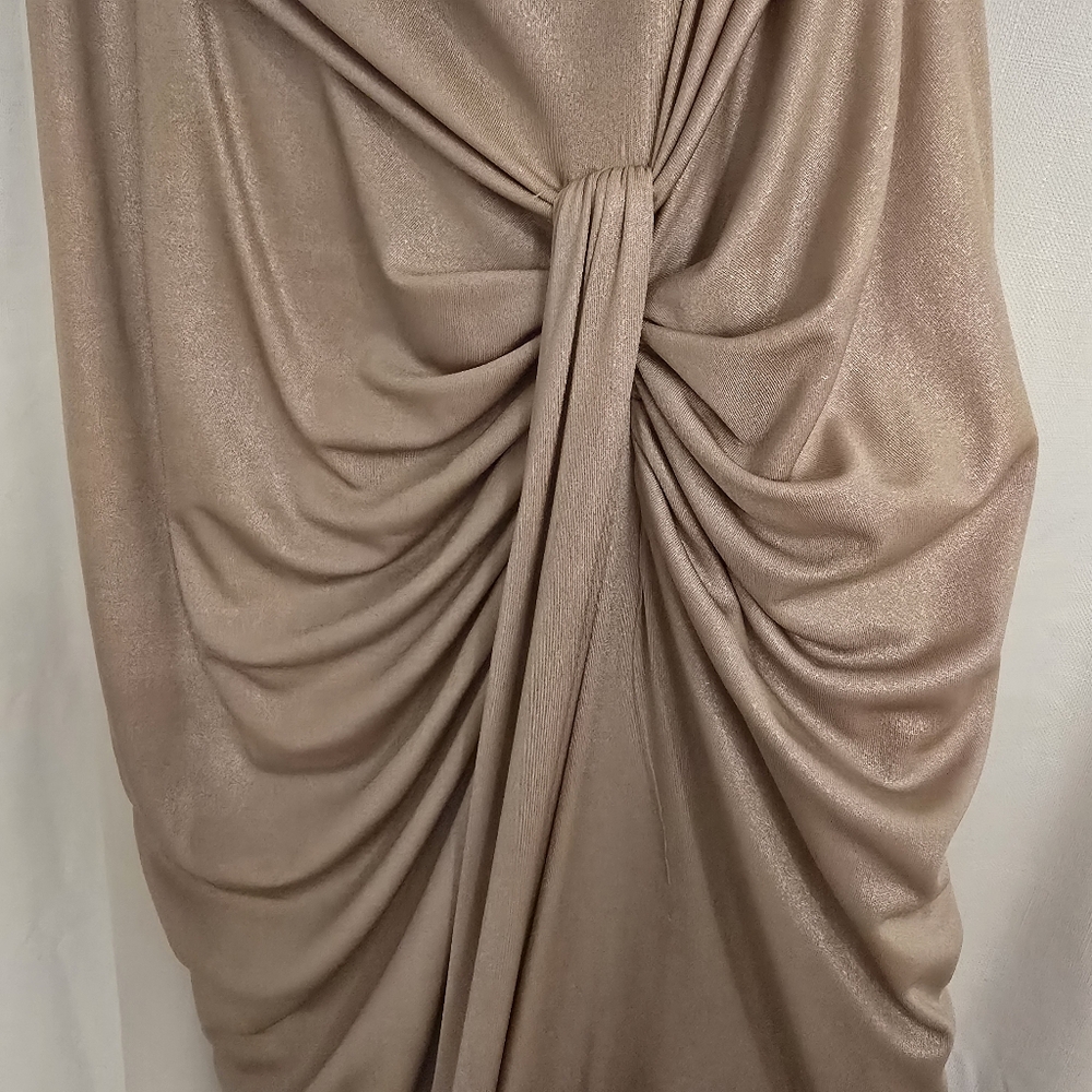 Tadashi Shoji - Champagne Gold Maxi Dress Small - Picture 4 of 14